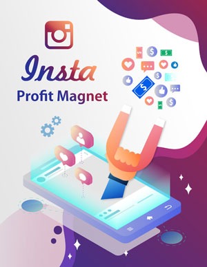 Insta Profit Magnet PLR eBook