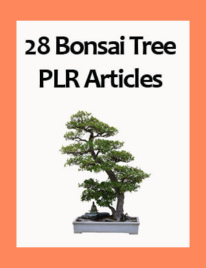 bonsai tree plr articles