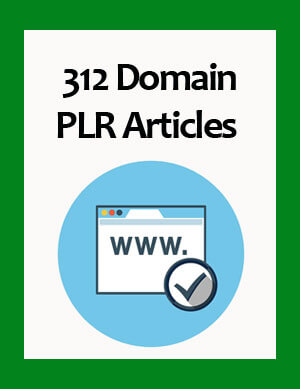 domain plr articles