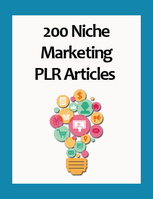 niche marketing plr articles