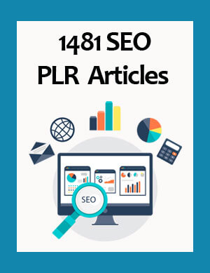 seo plr articles
